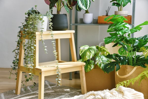 Les meilleures offres sur les plantes artificielles